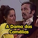 camelias-mini